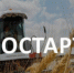 Государственная поддержка «Агростартап» - Шолоховский район