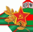 Поздравление Главы  Шолоховского района с Днём пограничника! - Шолоховский район