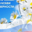 Поздравление Главы  Шолоховского района с  Днём семьи, любви и верности! - Шолоховский район