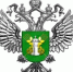 Особо опасные болезни свиней, меры борьбы и профилактики - Шолоховский район