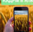 Региональный проект "Кадры в АПК" - Шолоховский район