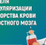 Неделю с 13 по 19 апреля 2026 г Минздрав России объявил Неделей популяризации донорства крови и костного мозга – в преддверии Дня донора, который отмечается 20 апреля - Шолоховский район
